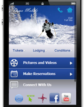 Online Marketing for Consumer Products